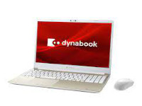 Toshiba DynaBook P2-C7UB-BG