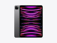 Apple iPad Pro 11-inch - 4th Gen (2022)