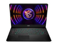 MSI (Micro-Star) Notebook GP77 Vector 13VG