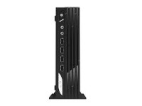 MSI (Micro-Star) Desktop PRO DP21 13M