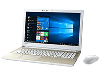 Toshiba DynaBook EX/5GG