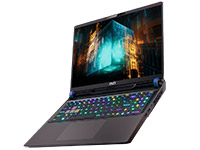 MSI (Micro-Star) Notebook GP68HX Vector 13VH-256US