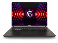MSI (Micro-Star) Notebook Vector 16 HX A13VHG-464US
