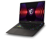 MSI (Micro-Star) Notebook Vector 16 HX A13VHG-478US