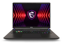 MSI (Micro-Star) Notebook Vector 16 HX A14VFG-246US