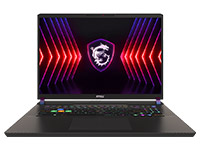 MSI (Micro-Star) Notebook Vector 17 HX A14VGG-219US