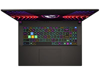 MSI (Micro-Star) Notebook Vector 17 HX A14VIG-839TAA