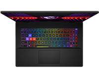 MSI (Micro-Star) Notebook Sword 17 HX B14VFKG