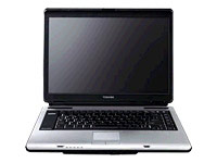 Toshiba Satellite Pro A100-501