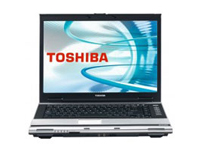 Toshiba Satellite A110-178