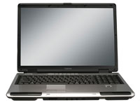 Toshiba Satellite P105-S6158