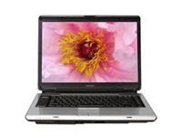 Toshiba Satellite A215-S7414