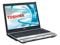 Toshiba Satellite A110-169