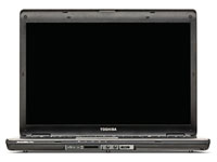 Toshiba Satellite Pro L300-138