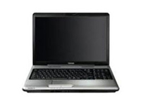 Toshiba Satellite Pro P300-19Q
