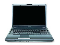 Toshiba Satellite P305D-S8819