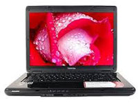 Toshiba Satellite L305D-S5890