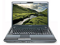 Toshiba Satellite P305D-S8900