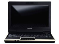 Toshiba Satellite NB100-12M