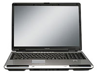 Toshiba Satellite P105-S6114