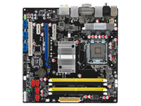 Asus Motherboard P5N-VM WS