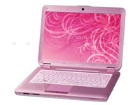 Sony VAIO Laptop VGN-CS31S/P