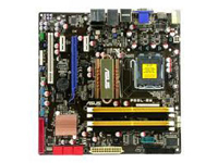 Asus Motherboard P5QL-EM
