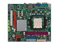 EliteGroup (ECS) Motherboard GF8100VM-M5