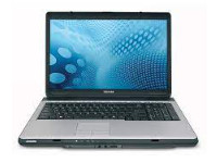 Toshiba Satellite L355-S7915