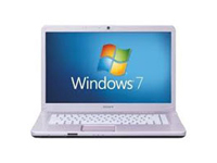 Sony VAIO Laptop VGN-NW20EF/P