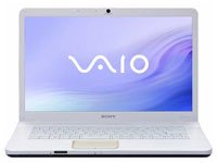 Sony VAIO Laptop VGN-NW250F/S