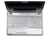 Toshiba Satellite Pro L500-1T3