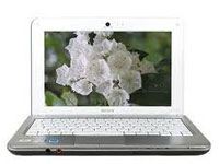 Sony VAIO Laptop VPCM111AXW