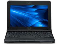 Toshiba Netbook NB255-N250