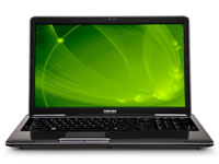 Toshiba Satellite L675D-S7015