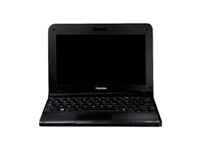 Toshiba Netbook NB250-10G