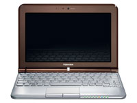 Toshiba Netbook NB305-02P