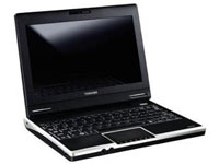 Toshiba Satellite NB100-128