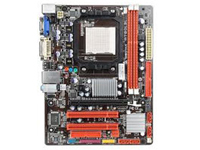 Biostar Motherboard A780L3L