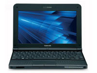 Toshiba Netbook NB250-A102