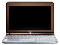Toshiba Netbook NB305-A102TW