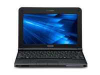 Toshiba Netbook NB250