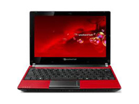 Packard Bell Dot SE/P-110UK
