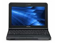 Toshiba Netbook NB250-101