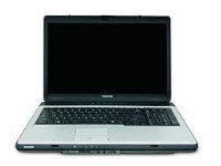 Toshiba Satellite L305D-S5938