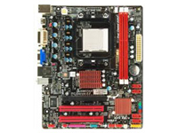 Biostar Motherboard A880GZ