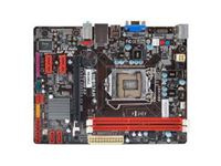 Biostar Motherboard H61MLC