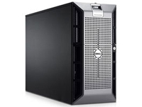 DP600
