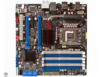 Rampage II Gene