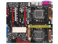 Asus Motherboard L1N64-SLI WS/B